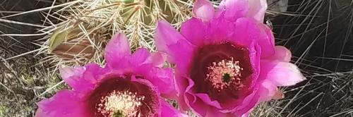 80fb053fd6b14ee2b3f2a502e0ba1748_1200