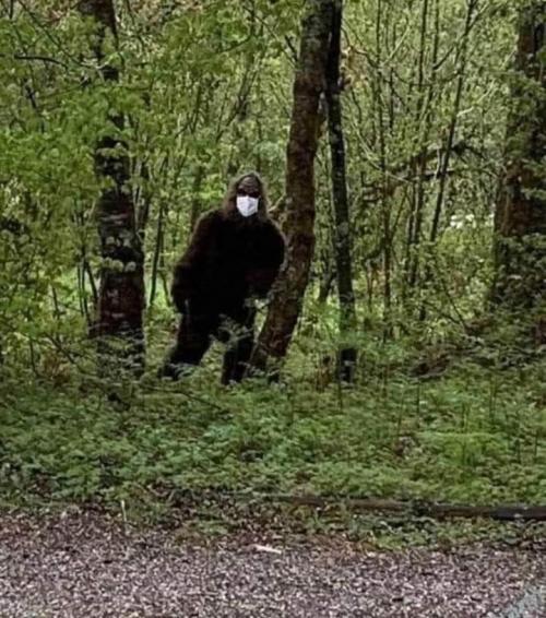 FB_IMG_1595155205437