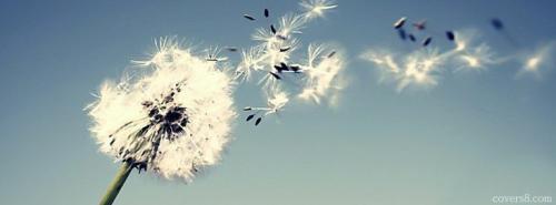 0aa6fef5030011e42de440e2fc793faa