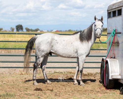 042E334E-BBC5-4300-8929-123546A68DFD