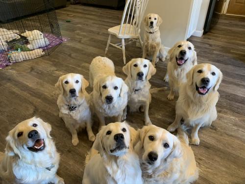 DA246F8F-FE7E-4605-B810-EC2492C330E6