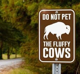 IMG_20191011_153508_526