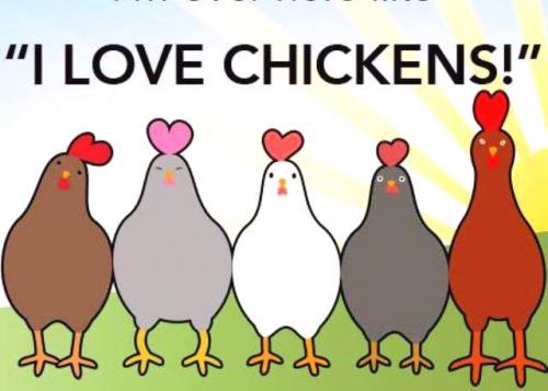 I love chickens