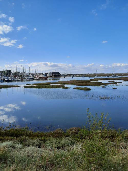 367e142a-c901-41e7-a200-0ef97923d77c