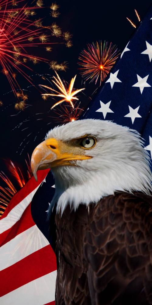 Eagle-753c06ec-521d-3805-81ef-75d2955bc35f