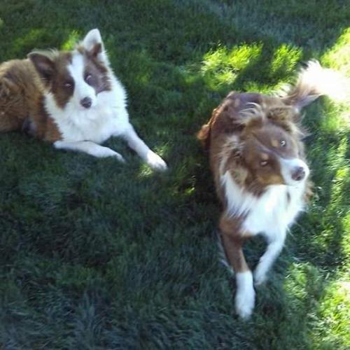 FB_IMG_1562736267329