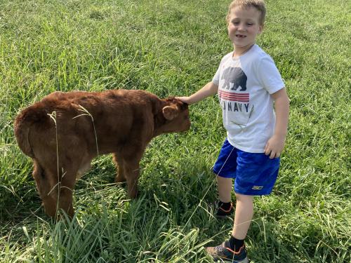 5EBD5435-C148-42F4-8CA0-B06CD4040520