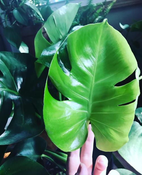 3830A599-D8FD-4AC0-BCB2-A2B10E7C3369