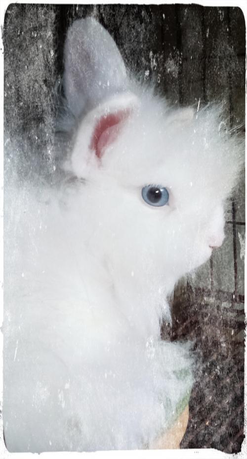 IMG_20200830_132837_20200830142048016