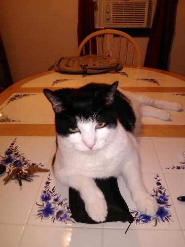 104945900_2884975908279828_6087700351238805997_n