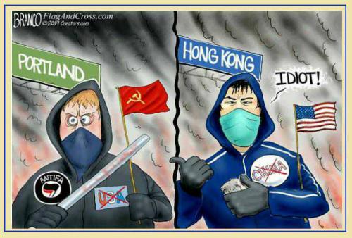 202009020536-T2kKNAgWKM