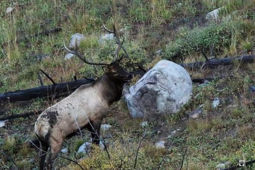 FB_IMG_1569354438154