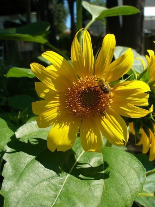 10387049_10204248744721494_7663964435768354760_o