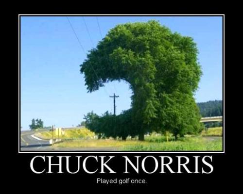 Chuck Norris