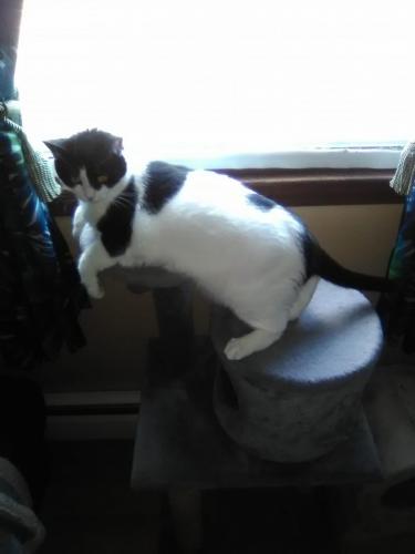 92988894_2716539398456814_4782499272970993664_o