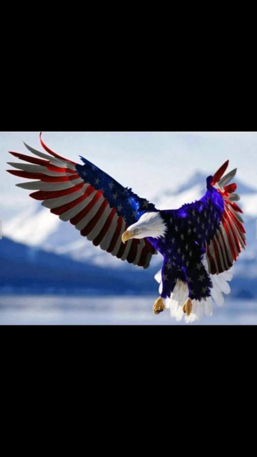 FB_IMG_1600698299917