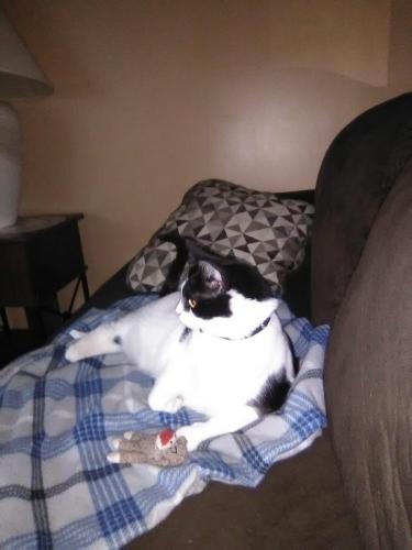 92321141_2703173753126712_8866883377555308544_o