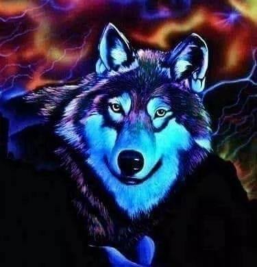 51984850_2033324806736972_3545224271368290304_n