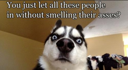 Screenshot_20200731-190916_Chrome