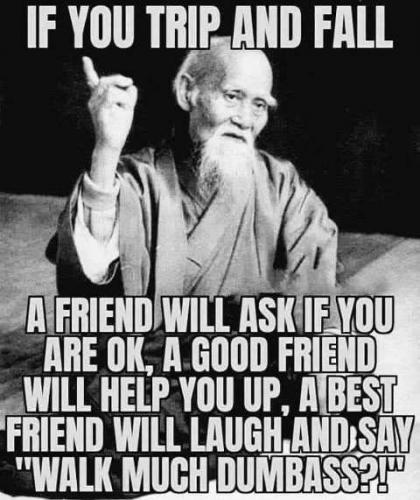 202009090824-if-you-trip-fall-friend-ok-good-help-up-best-friend-walk-much-dumbass