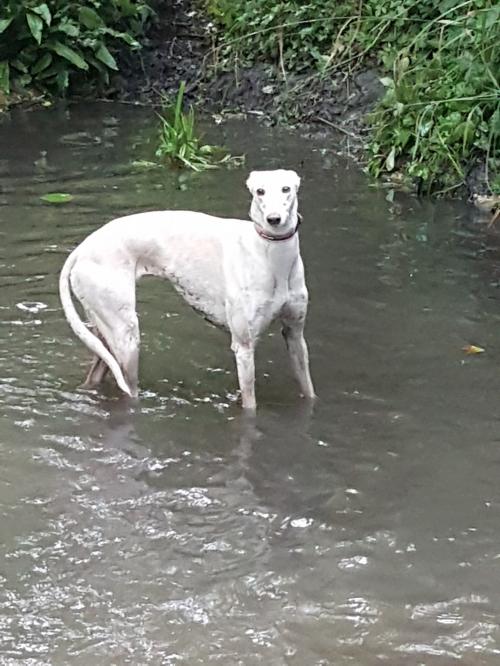 37670634_10212718506416908_6832386424893865984_o