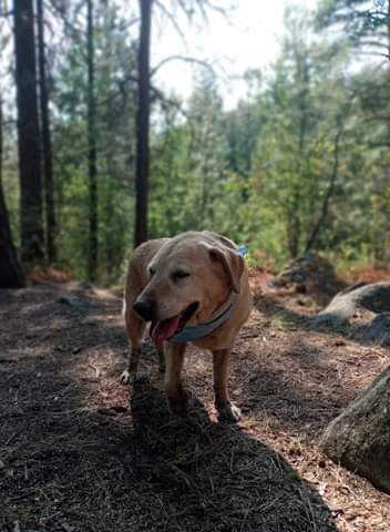 received_328374518486212