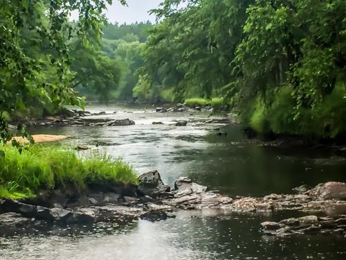 9EE724A8-AB01-4D96-BDBB-CAB73F81F6D0