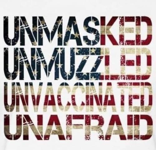 Screenshot_20200911-144010_Instagram