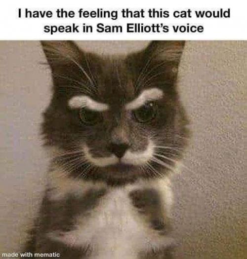 FB_IMG_1599371065976