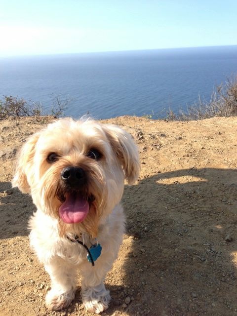 53C11F8A-7150-4EBB-B5A5-E800B489E400