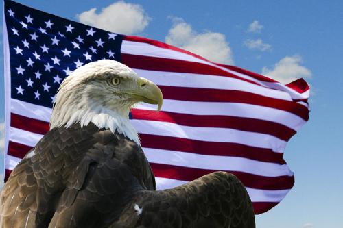 eagle flag
