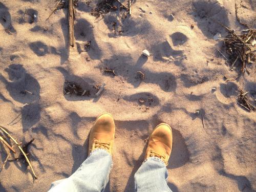 IMG_0590-30-04-18-09-11