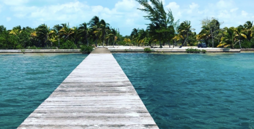 Screen Shot 2020-09-11 at 10.50.08 PM