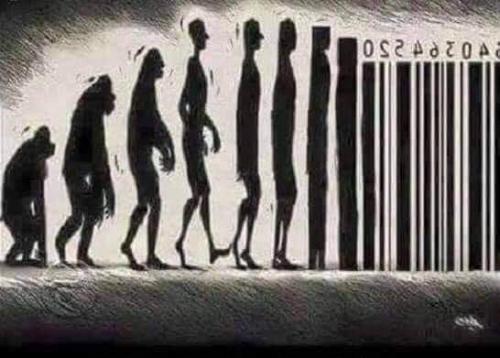 FB_IMG_1600430723541