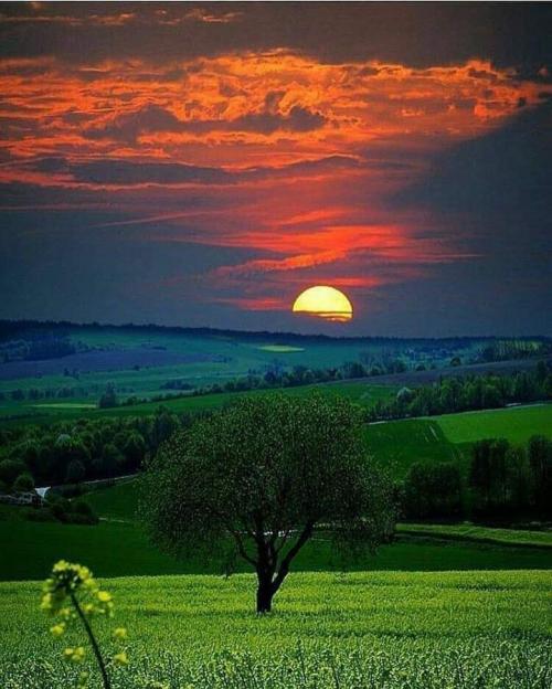 FB_IMG_1601169661627