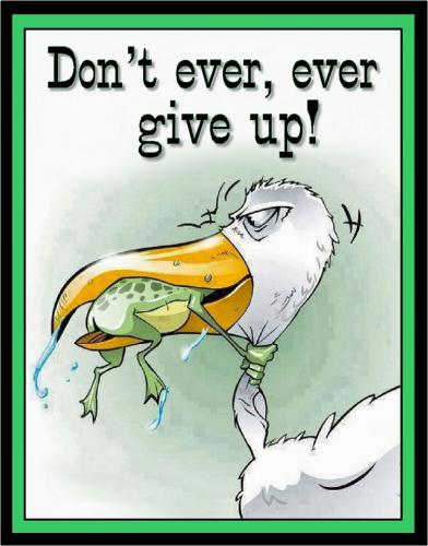 Don't Give Up!