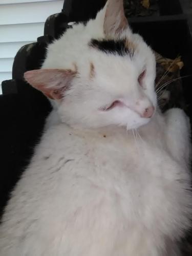 86376263_2581135385330550_8692516235142758400_o