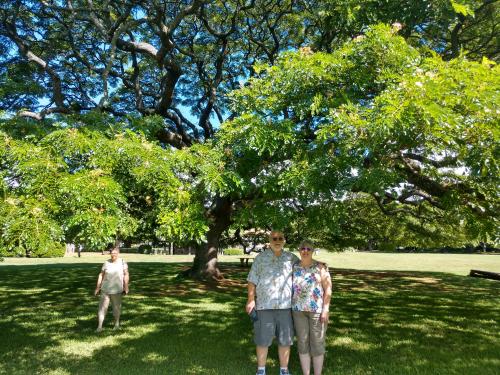 IMG_20191111_133300363_HDR