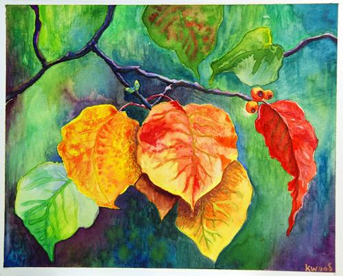 autumnbradfordpearLR