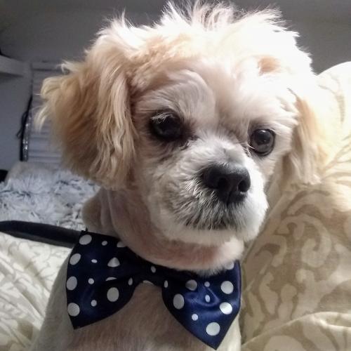 IMG_20200909_133955_754