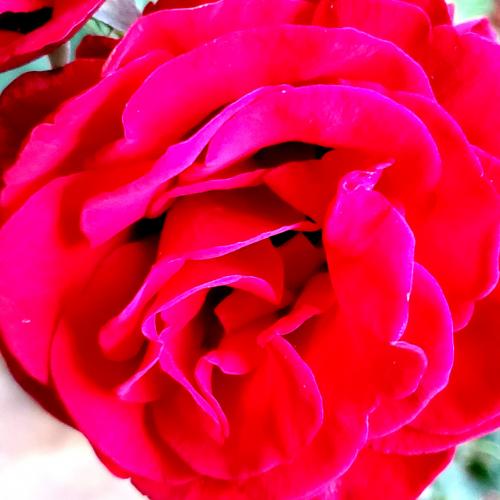 IMG_20200702_010700_773