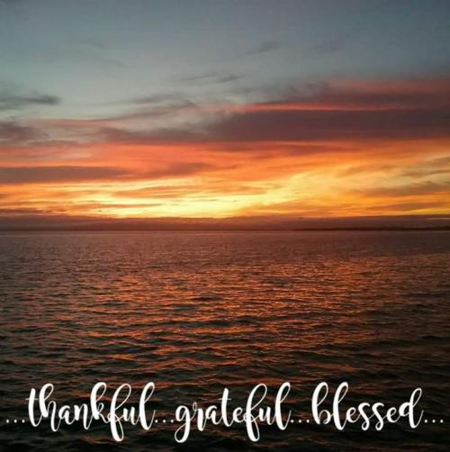 FB_IMG_1591963120332