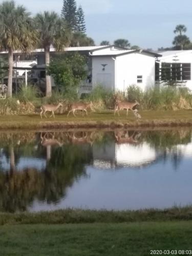 FB_IMG_1599399904977