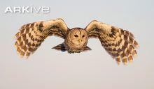 309458_10200215510253217_1667843095_n