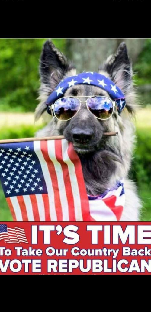 Screenshot_20200926-073326_Photos