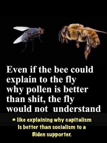 FB_IMG_1600464135234