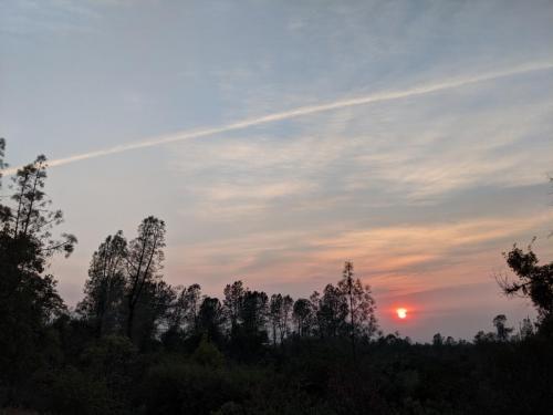 MVIMG_20200923_184814