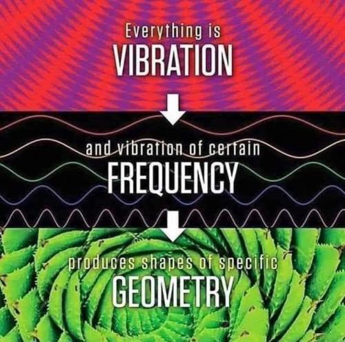 FB_IMG_1596775593209