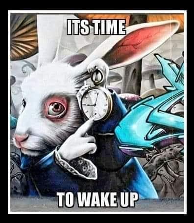 120404376_1104610516607772_4801094479408060614_n