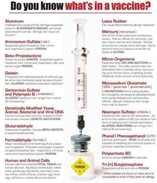 FB_IMG_1599583620425